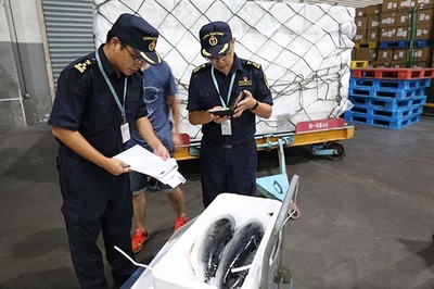 隨到隨報(bào)、隨到隨驗(yàn) 杭州空港冰鮮水產(chǎn)進(jìn)口持續(xù)增長的市場調(diào)查